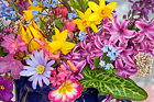 Assorted Summer flowers in bloom