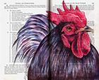 Black Rock Pullet Chicken by Fred Smith