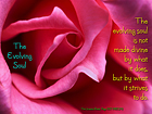 The Evolving Soul