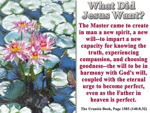 What did Jesus Want?- Quote of the Day