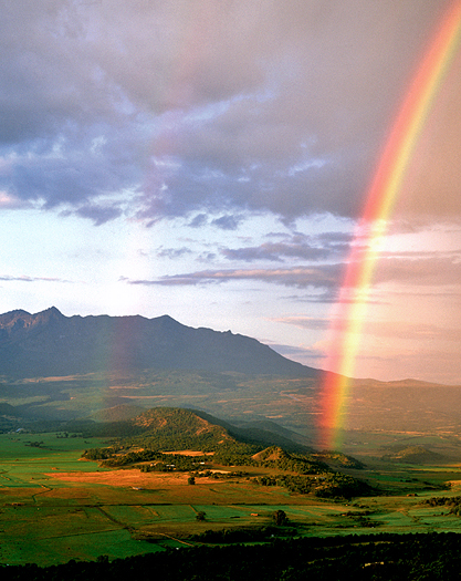 A vertical double rainbow 