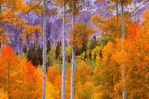Owl Creek Pass, Colorado By Don Paulson