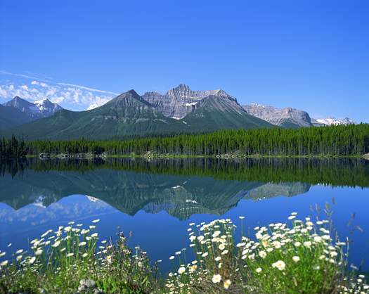Switzerland. Mountain, lake and forest