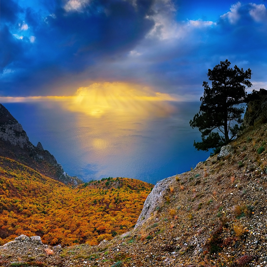 sun beams on a sea viewed from rocky shore