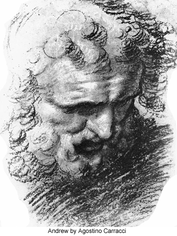 Andrew by Agostino Carracci
