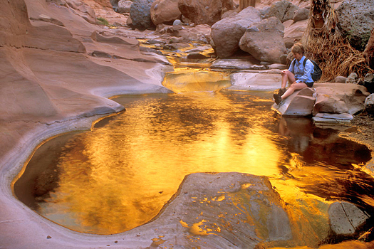 Kathy Canyon by Don Paulson