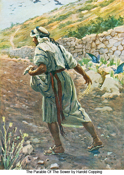 The Parable Of The Sower by