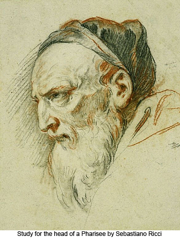 Study for the Head of a Pharisee by 
Sebastiano Ricci