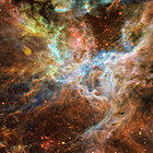 Tarantula Nebula R136