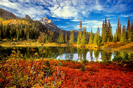 Tatoosh Fall by Don Paulson