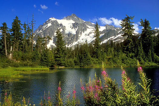 Mountain Lake by Don Paulson