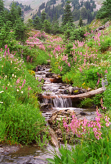 Badger Vallley by Don Paulson