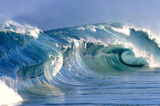 Large, curling wave