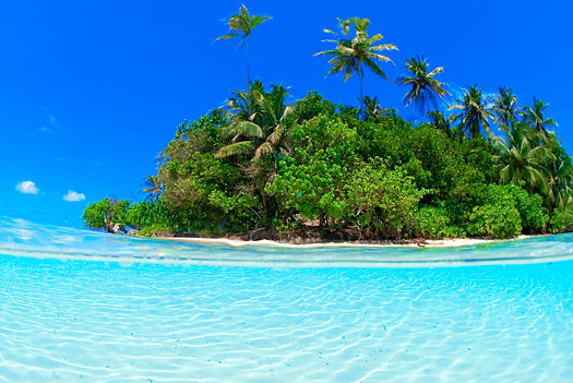 Split shot underwater of tropical island